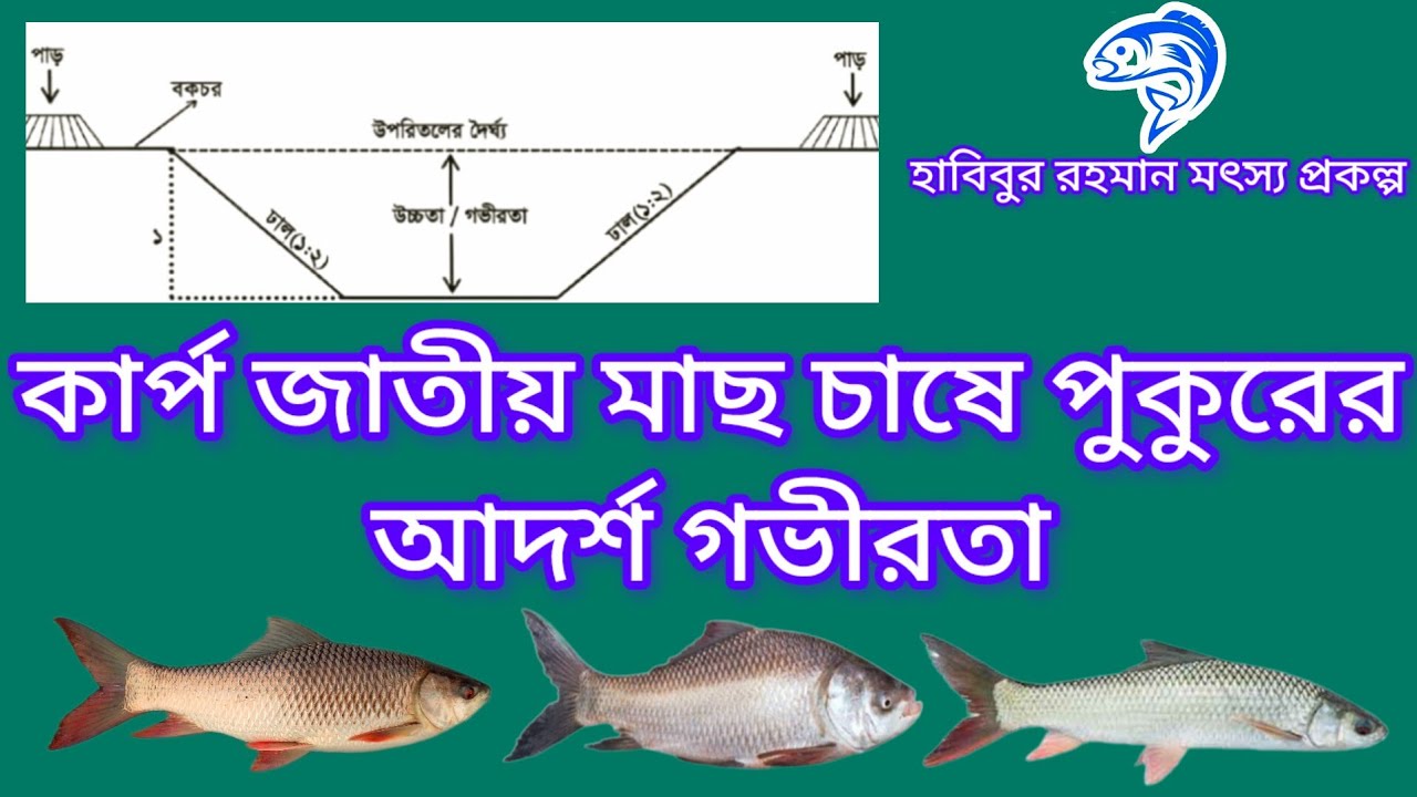 ১৯৮..কার্প জাতীয় মাছ চাষে পুকুরের আদর্শ গভীরতা।