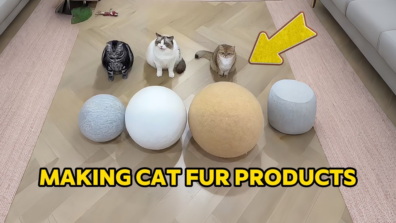 Изготовление странных изделий из кошачьей шерсти