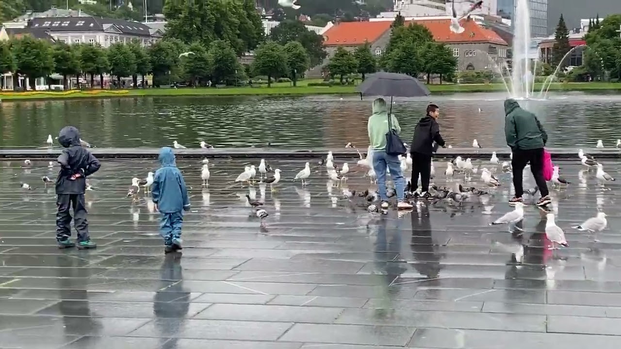Byparken City Park: An Urban Oasis in the Heart of Bergen, Norway