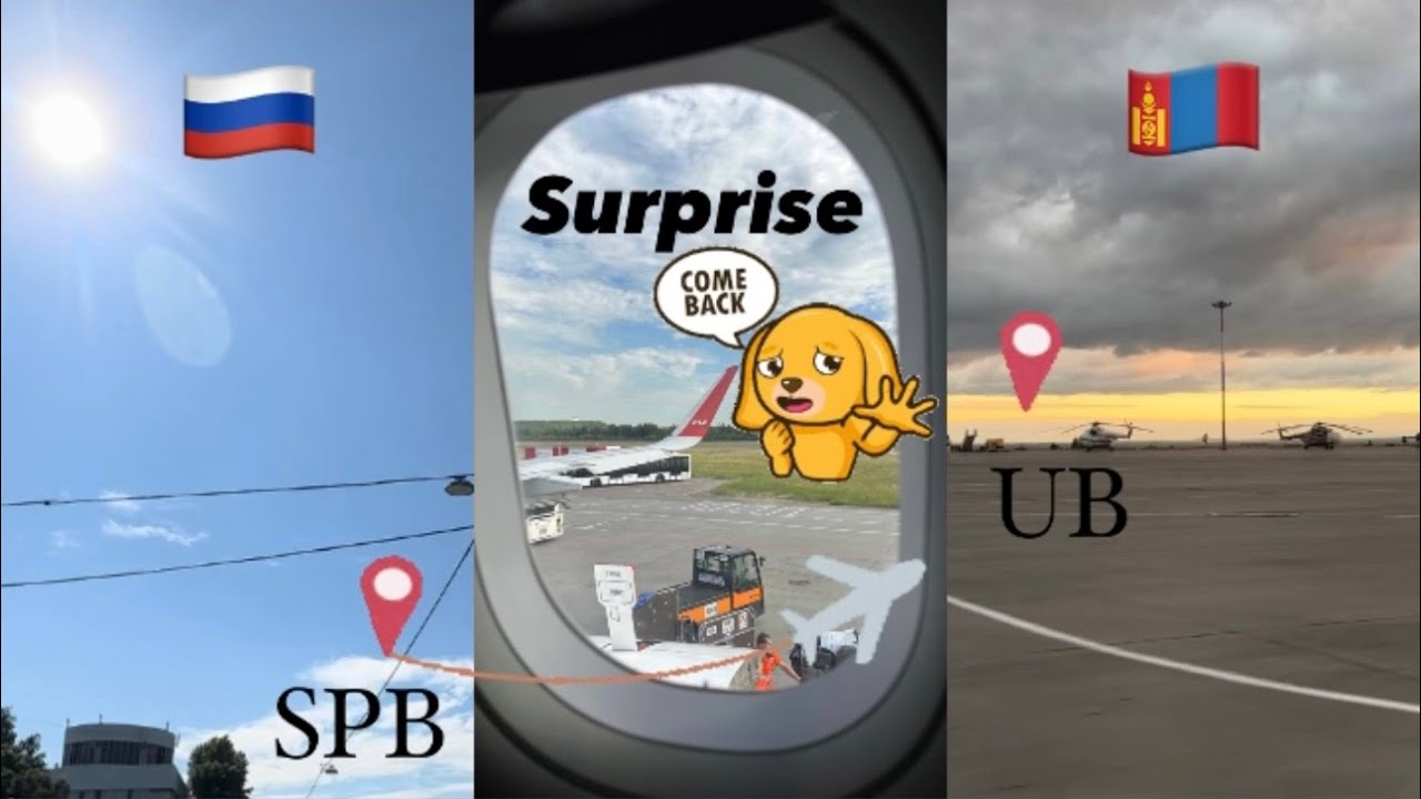 Гэртээ ирэхдээ гэнэтийн бэлэг барив | Surprise