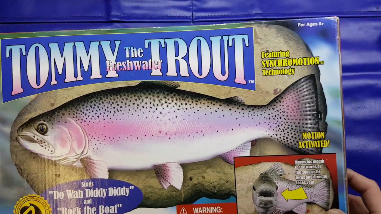 Tommy the Trout Teardown and competition reminder!