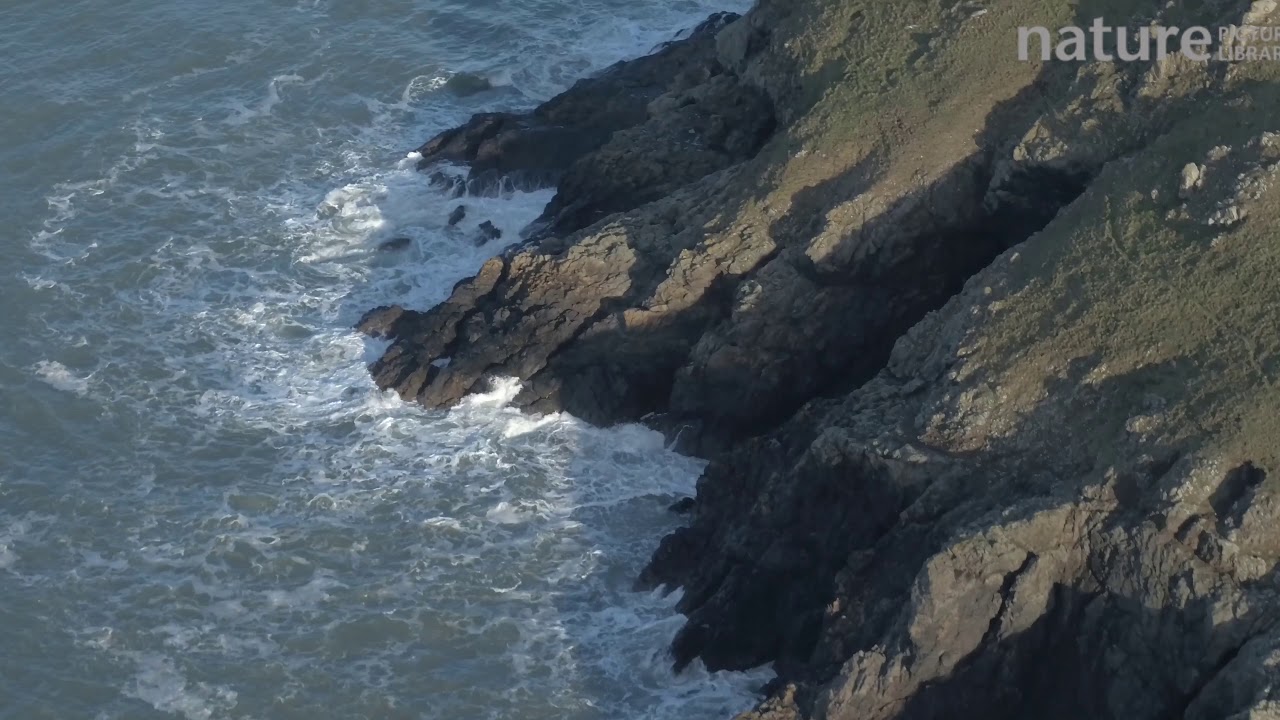 Aerial shot tracking over sea cliffs, Pembrokeshire, Wales, UK, January 2017.