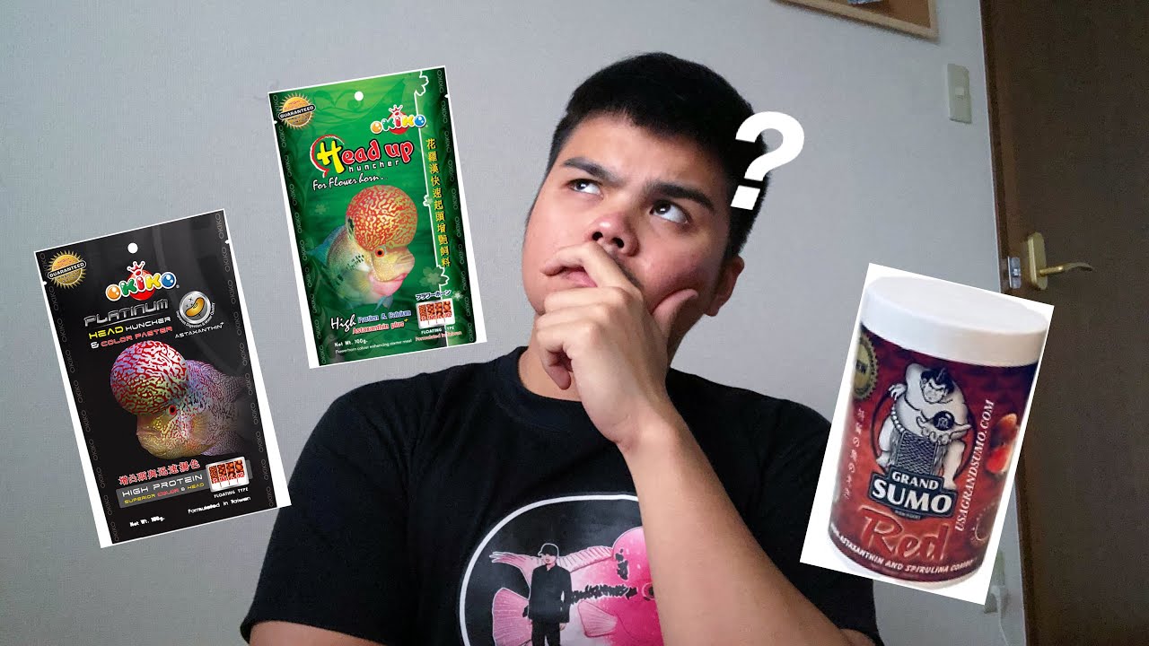 What is the Best Flowerhorn food?