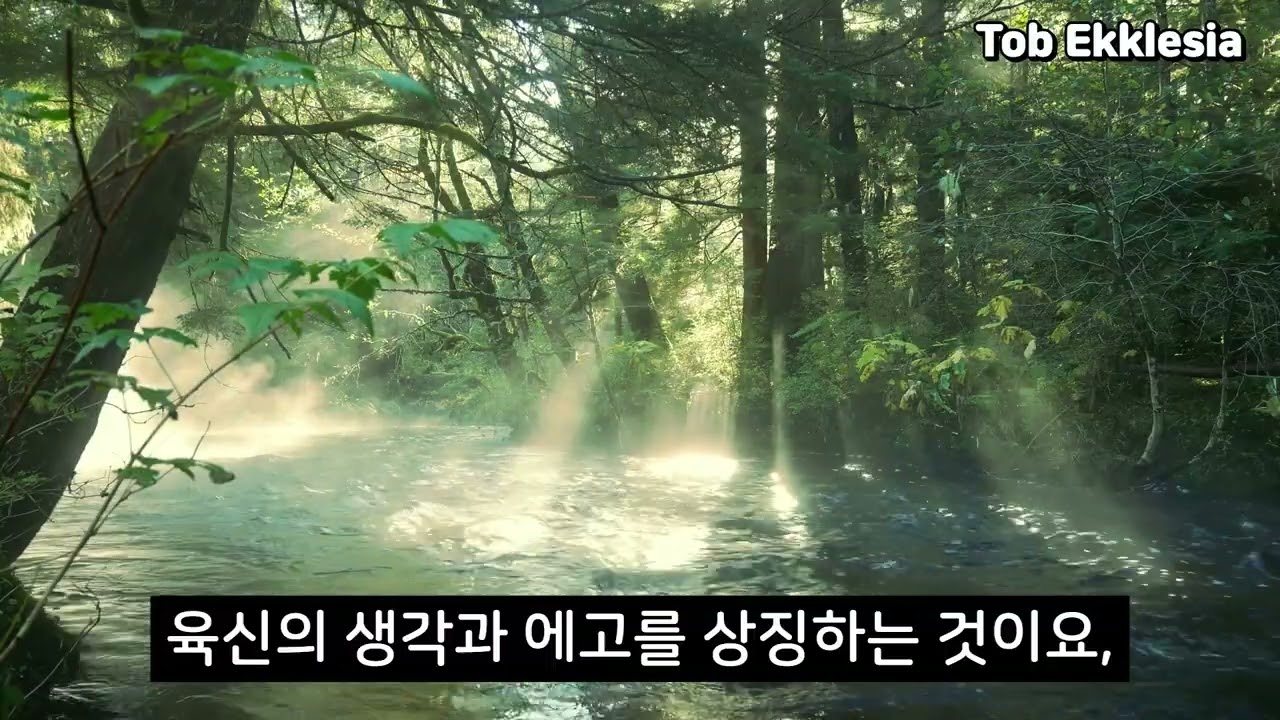 요한계시록71. 하나님의 사랑으로 세상 환난을 무효화하여 평안을 누리라.(그리스도의 편지20260315호)