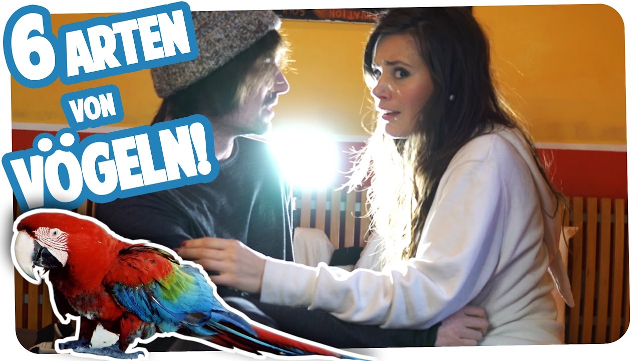 6 ARTEN VON VÖGELN | Teil 2 | Joyce