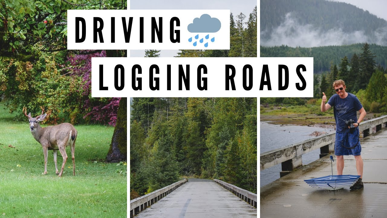 VANCOUVER ISLAND ROAD TRIP TRAVEL VLOG 🌧️🦌🚗 Rainy Day Driving on LOGGING ROADS, BC, Canada 🌲🚦🌦️