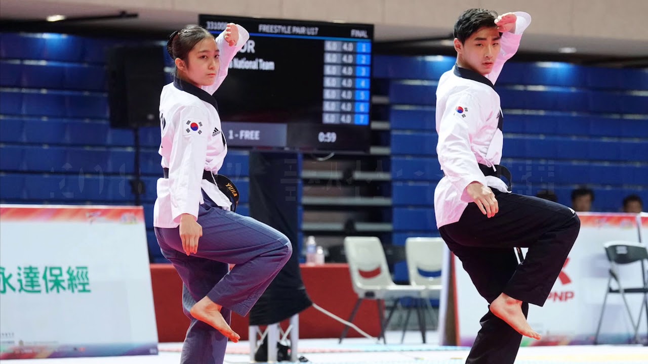 2018 세계 품새선수권대회 자유품새 결승 최종 연습영상