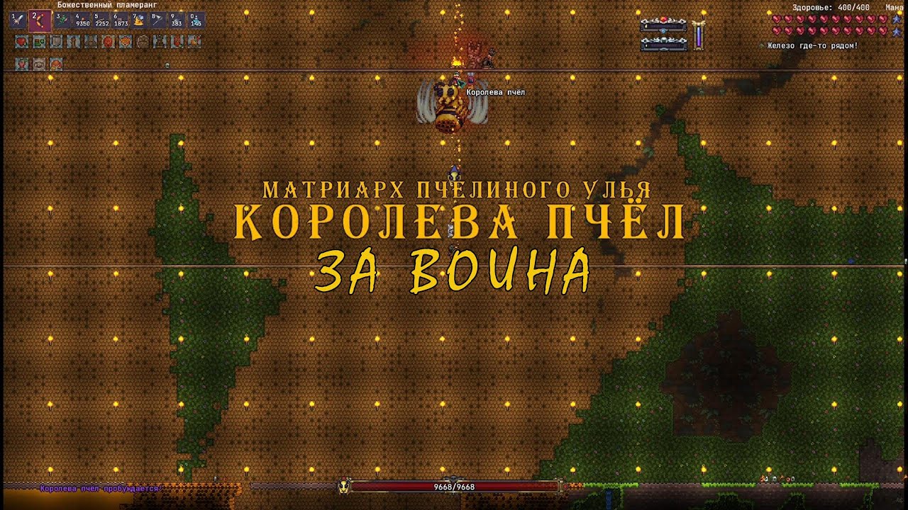 Королева пчёл за воина (Calamity, Infernum Mode)