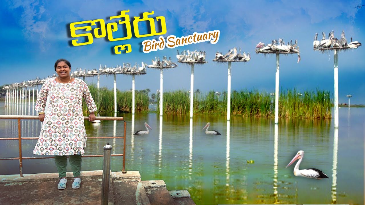 Kolleru lake full details- history|| కొల్లేరు గురించి మీకు తెలియని ఎన్నో విషయాలు #kolleru #aatapaka