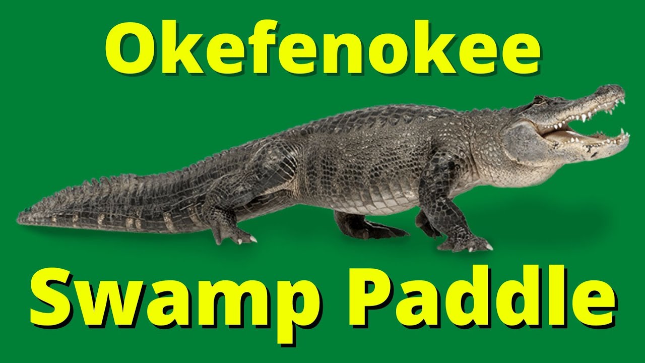 OKEFENOKEE SWAMP KAYAK DAY TRIP