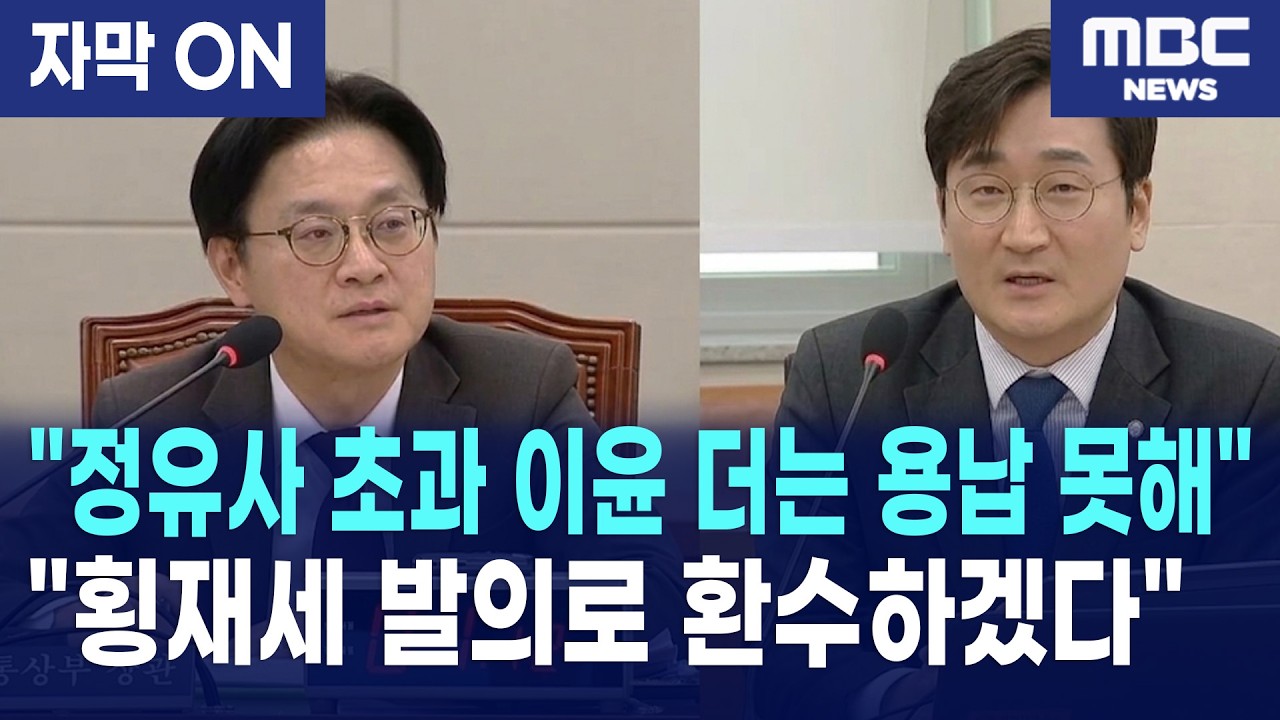 [자막] 장철민 의원, 정유사 저격 '횡재세' 전격 제안에 산자부 장관의 답변은?