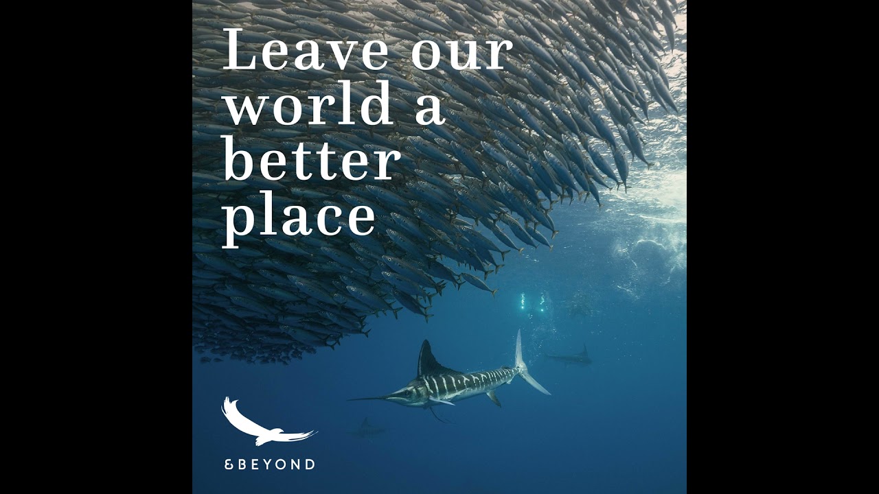 The greatest shoal on earth with Walter Bernardis