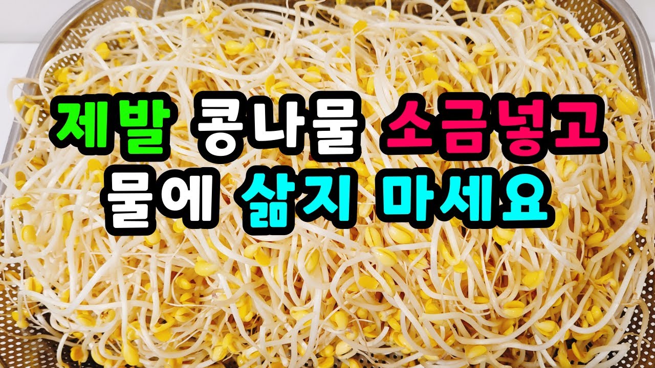 💚제발 콩나물 삶지 마세요 무조건 이 방법이 맛있어요 이렇게 하시면 맛이 해피해요