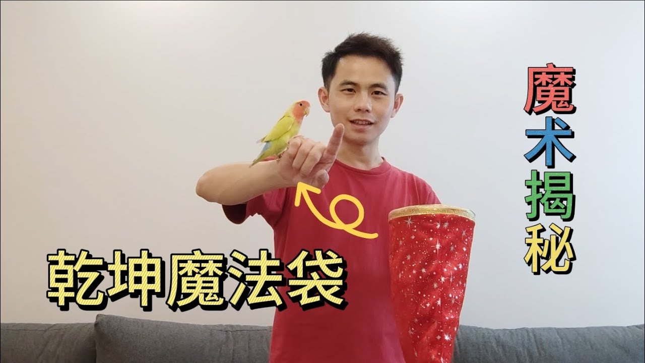 神奇魔法袋变出小鸟，乾坤袋魔术揭秘，无中生有魔术教学