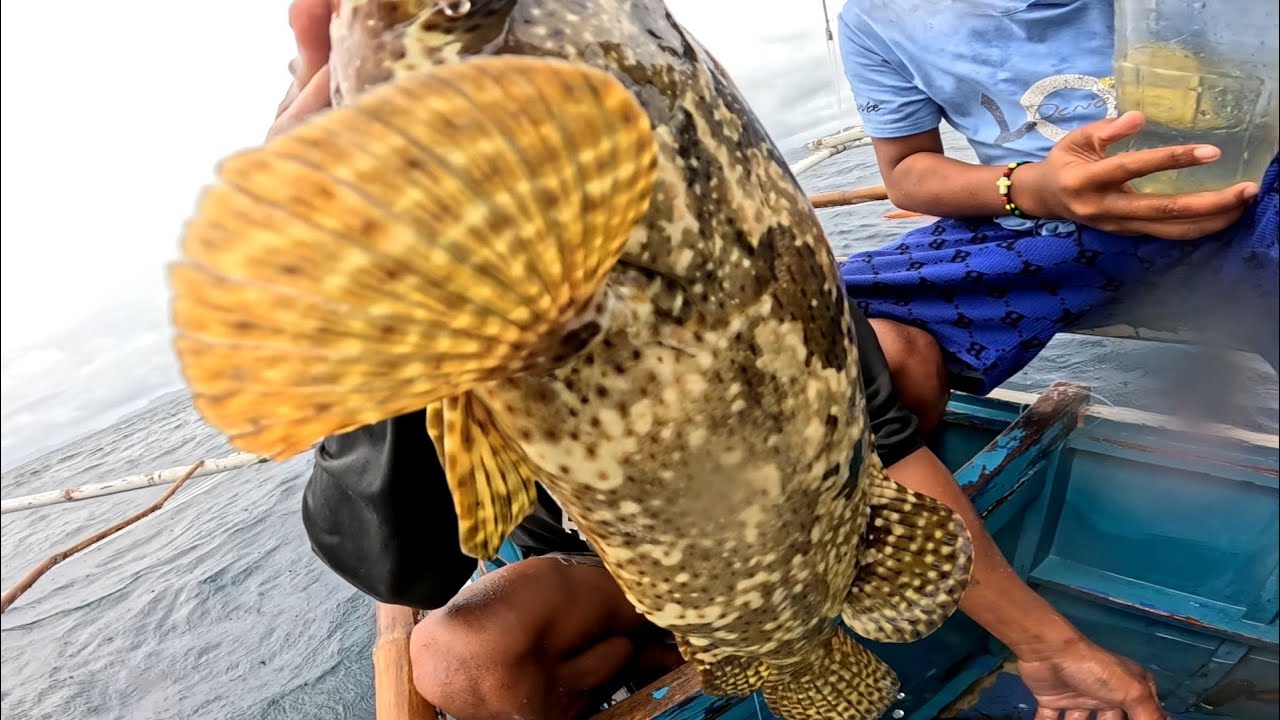 Idol Inday biglang yaman sa mga Giant Grouper nato!