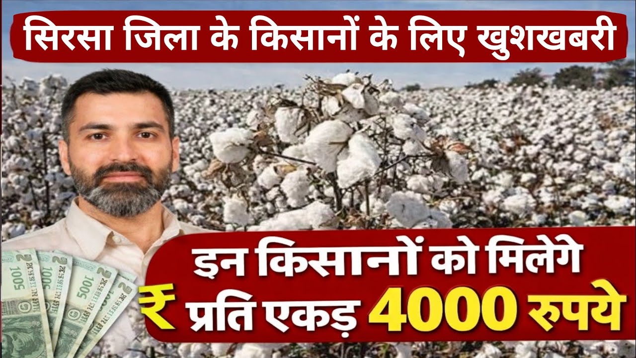 सिरसा जिला के किसानों के लिए बड़ी खुशखबरी, इन किसानों को मिलेंगे प्रति एकड़ ₹ 4000 रुपये, जानिए डिटेल
