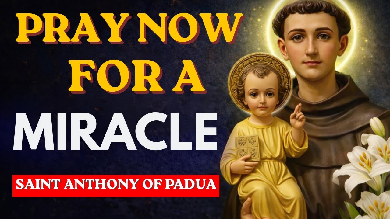 POWERFUL URGENT PRAYER TO SAINT ANTHONY 🙏FOR A MIRACLE WHEN YOU NEED HELP NOW