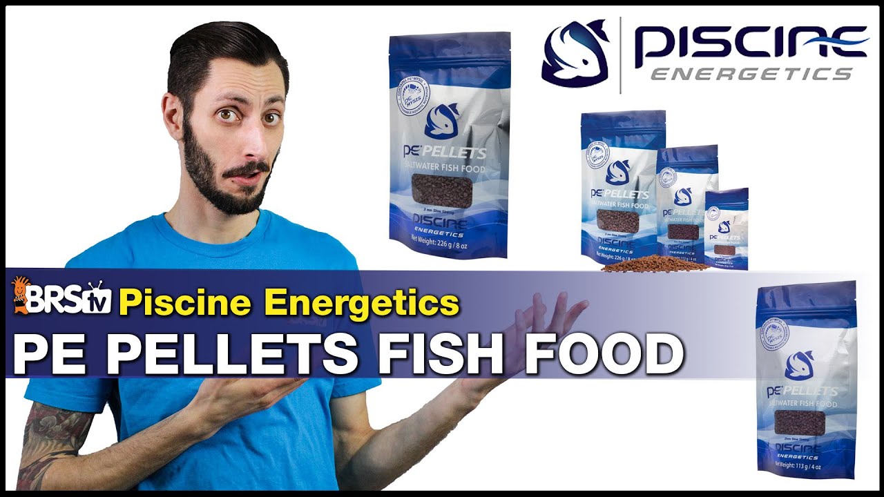 Piscine Energetics PE Pellets: One of the Most Popular Frozen Fish Foods Now in Dry Pellet Form!