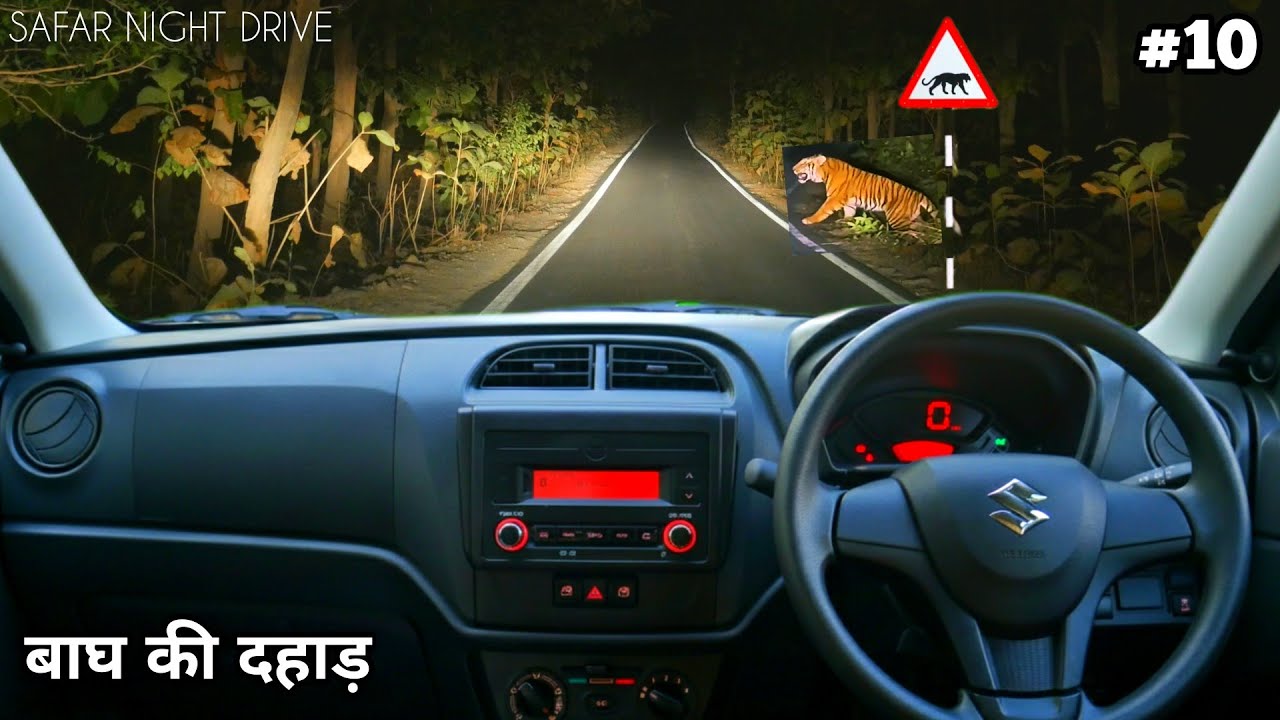 Safar Night Drive | Tiger Roar At Night Drive | 4k video in hindi