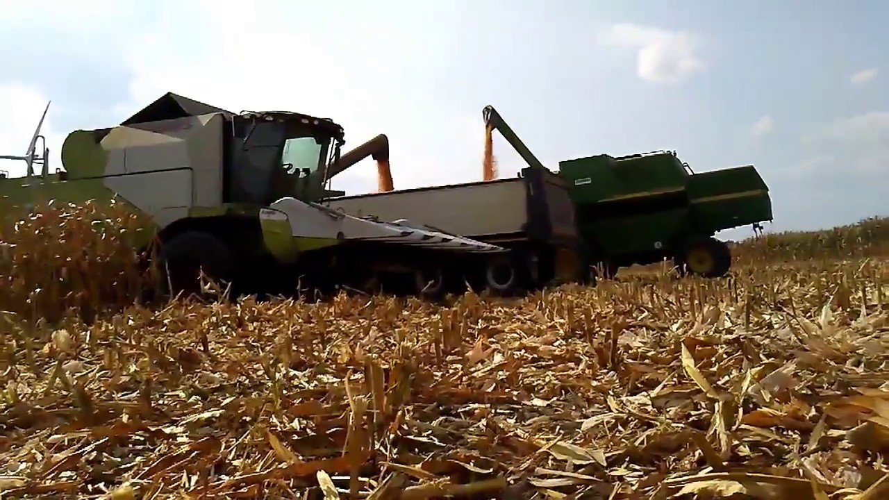 Koszenie Kukurydzy na ziarno 2018 &John Deere&Claas