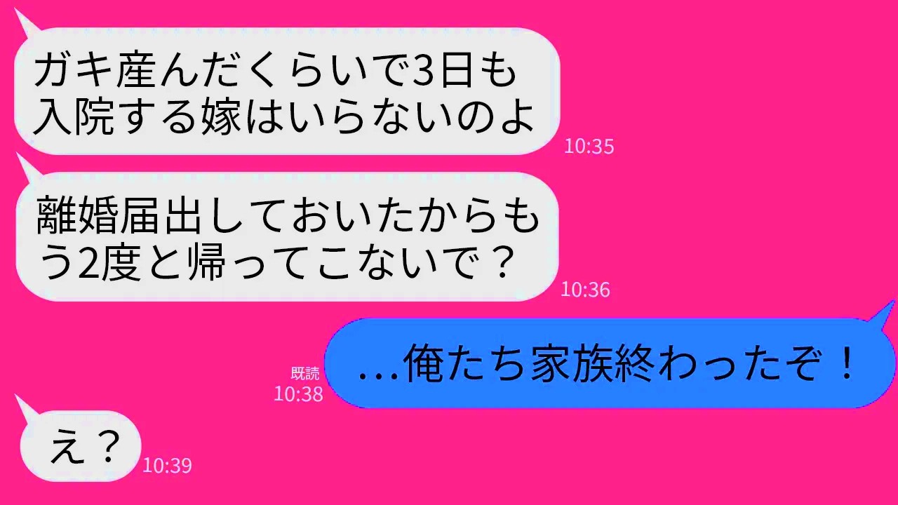 【LINE】双子を産んで入院中の私をサボり魔呼ばわりして勝手に離婚届を提出した姑「家事サボる嫁はいらないw」→お望み通りに家に帰らなかったら、姑が大変な