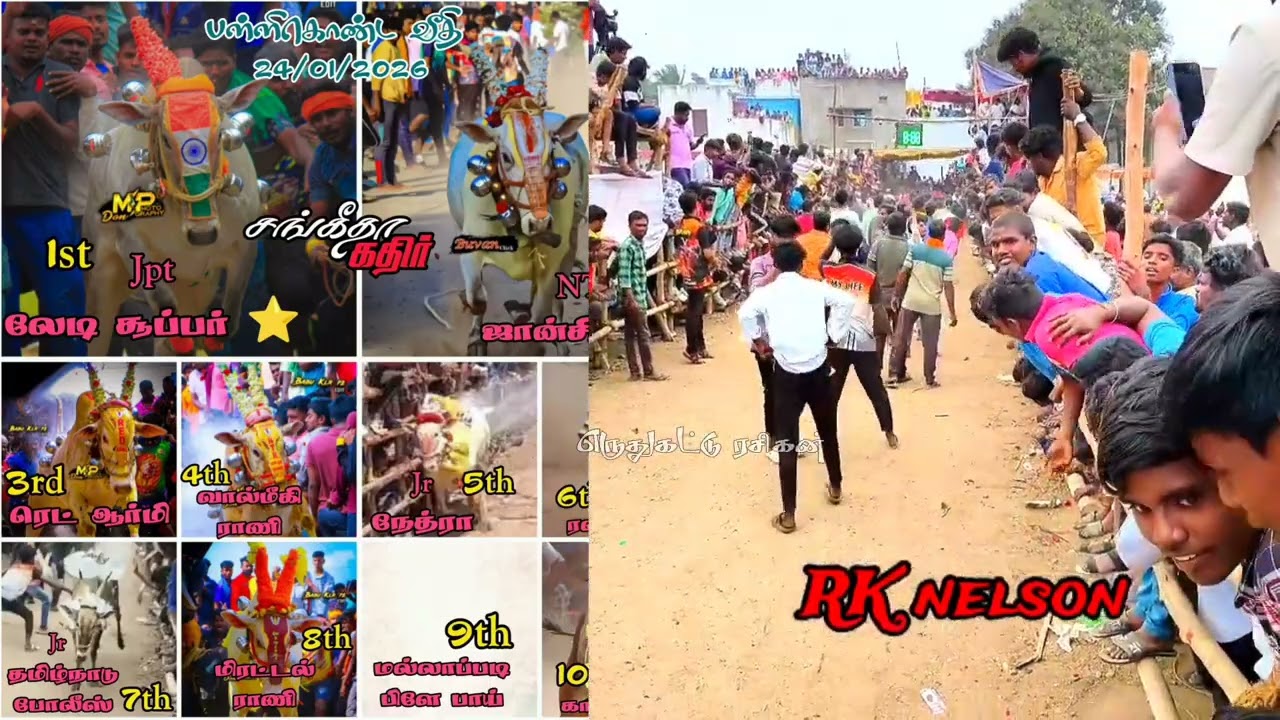 பள்ளிகொண்டா 2026 Top bulles collections || #Pallikonda