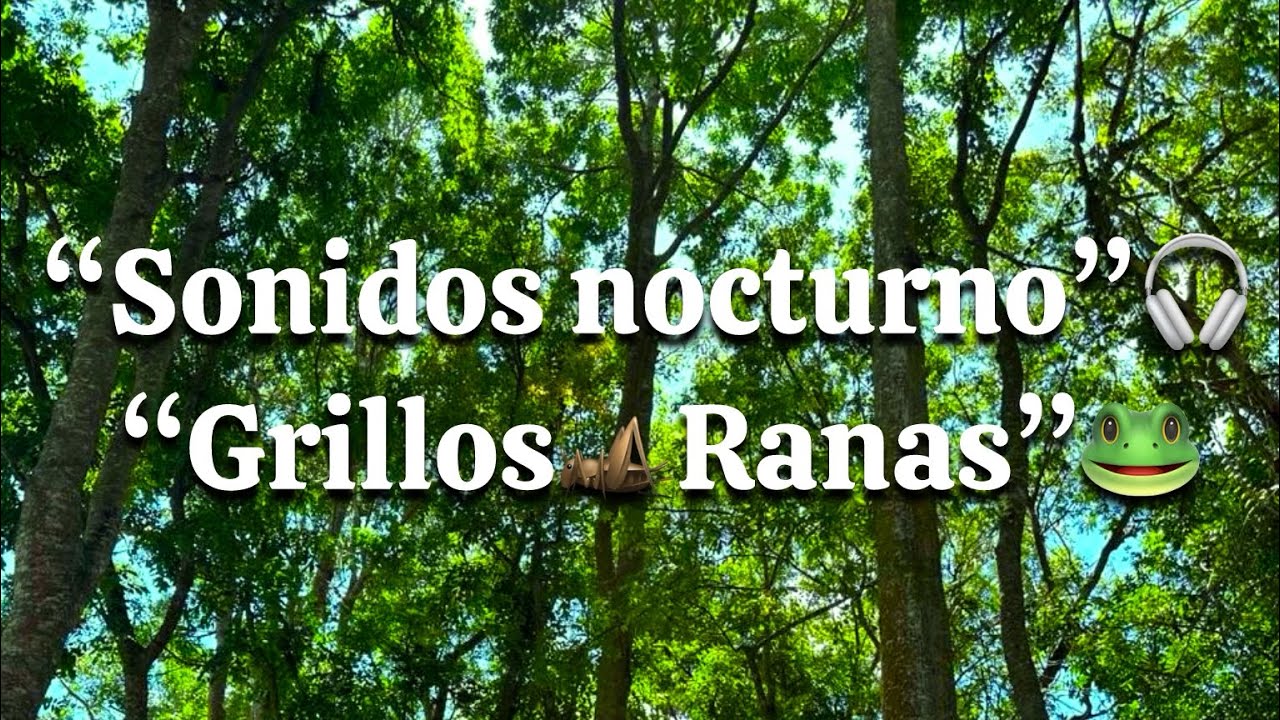 Selva nocturna 🌙 Grillos y Ranas | Sonidos naturales para dormir y relajarse 🦗 🐸.