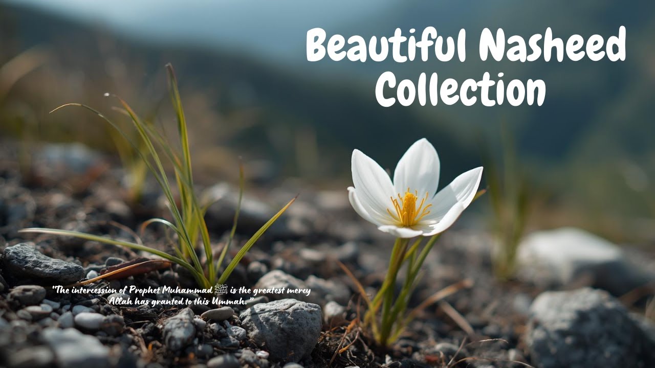 Beautiful Nasheed Collection | Syafaat Rasulullah ﷺ Touching Hearts يا رسول الله | Emotional Nasheed