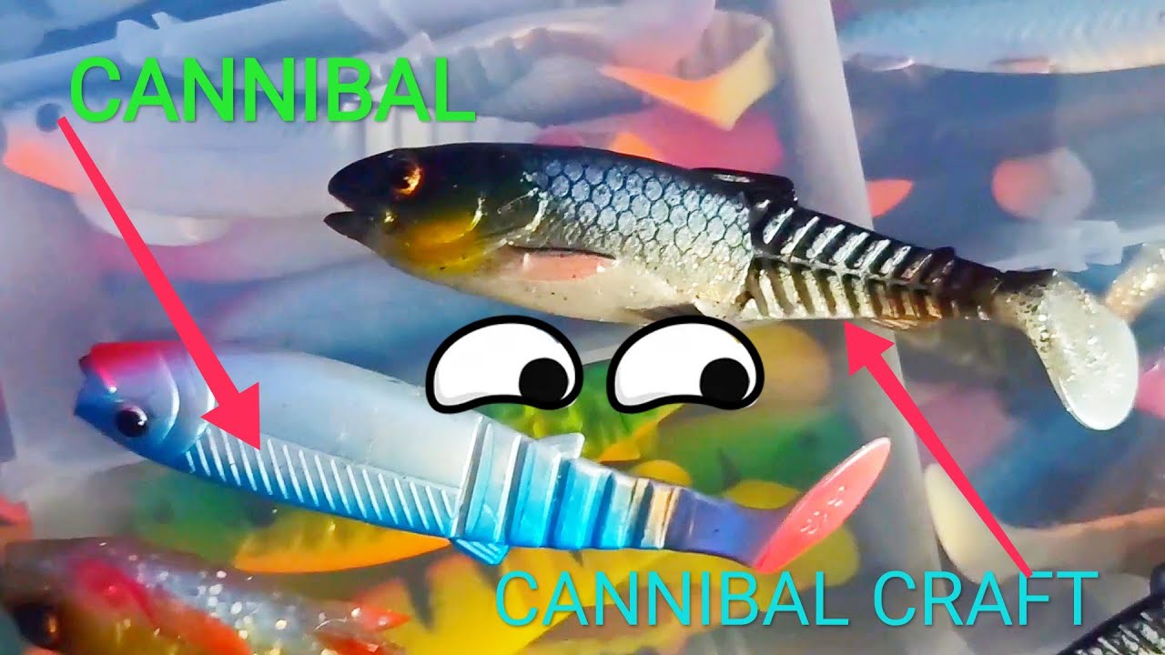 Cannibal a cannibal craft - czy są takie same? Porównanie 2021
