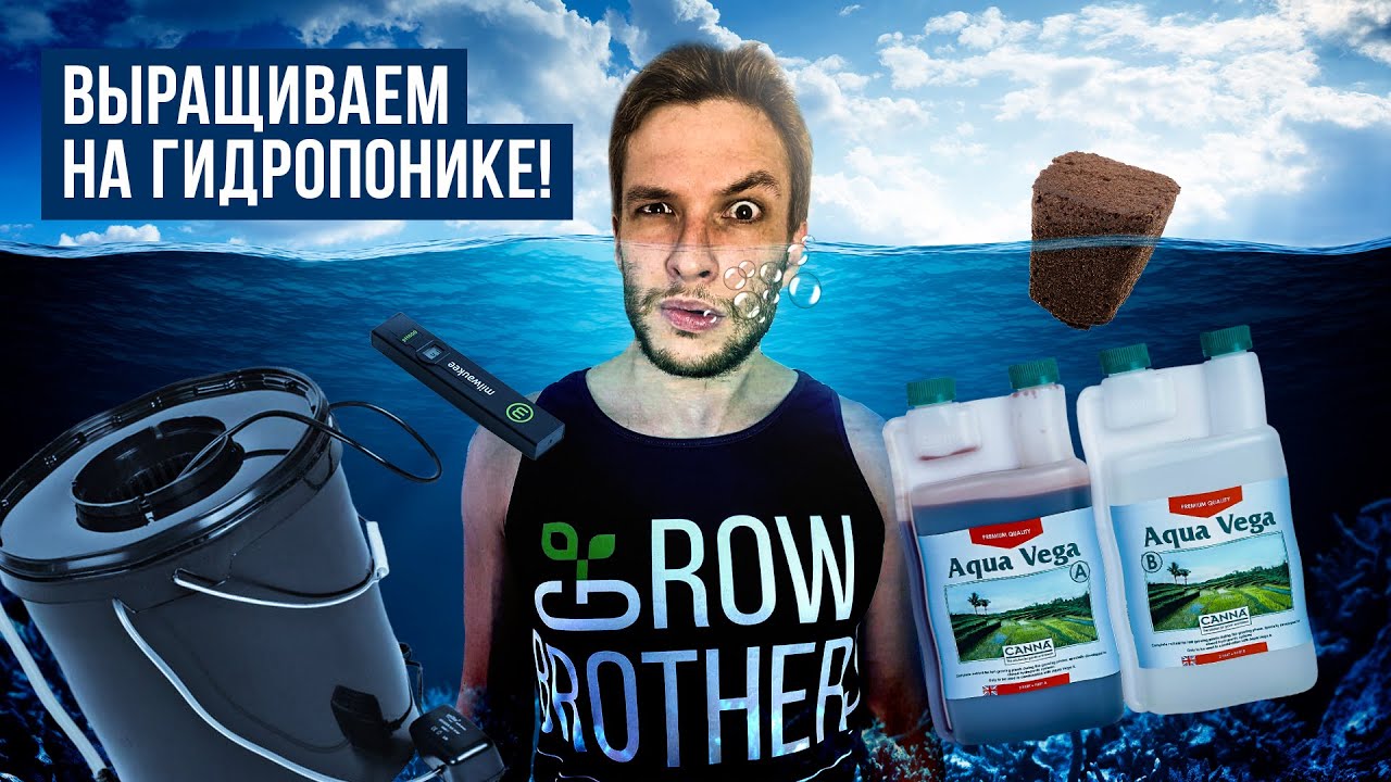 Гидропоника - что это такое? Принцип работы dwc #DWC (Deep Water Culture, Культура Глубокой Воды)