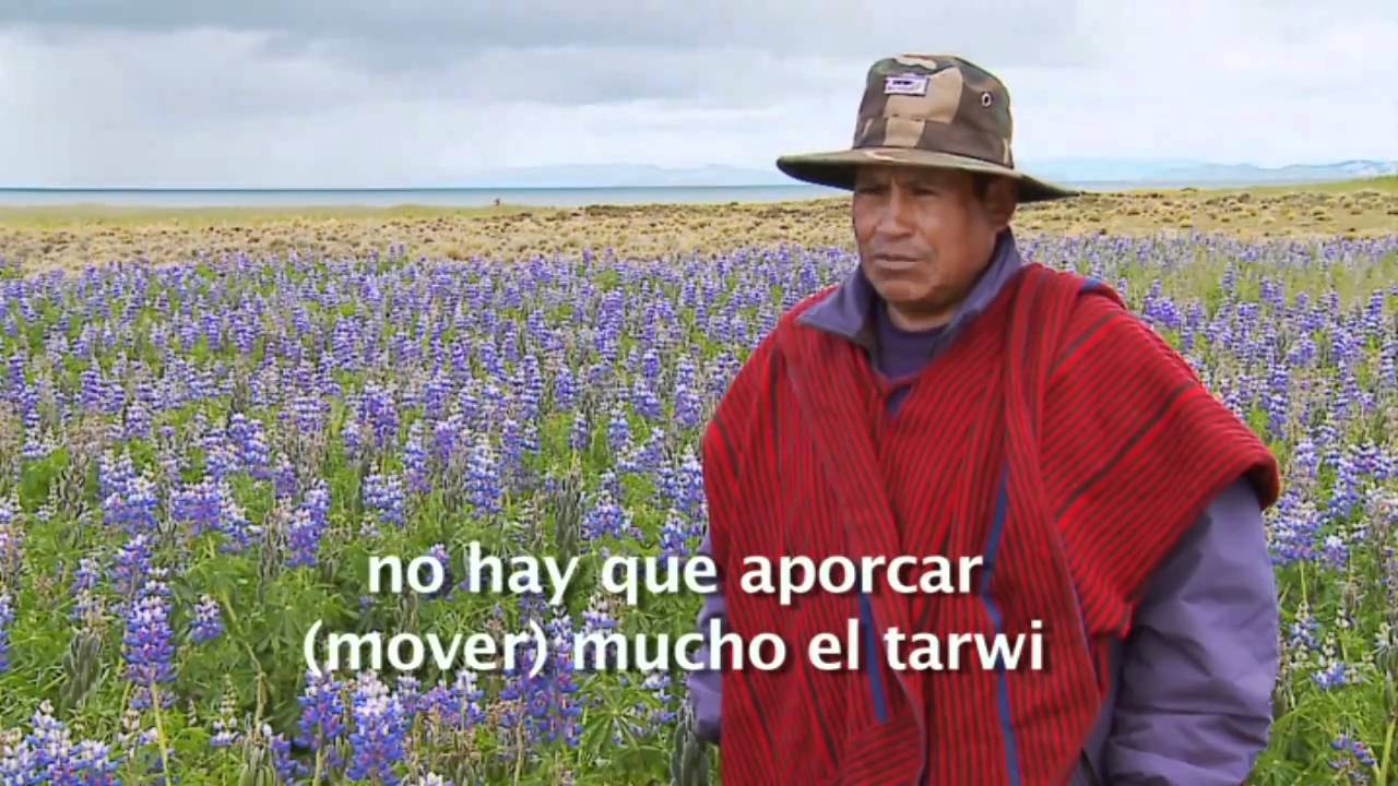 TARWI - Semillas del Futuro Vol.1
