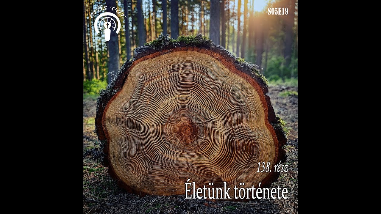 138. Életünk története