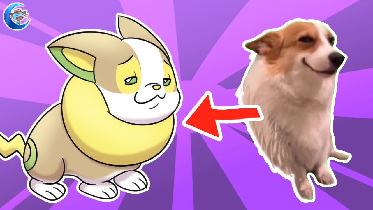 All the Meme Dogs but They Are Dog Pok&eacute;mon | Animation