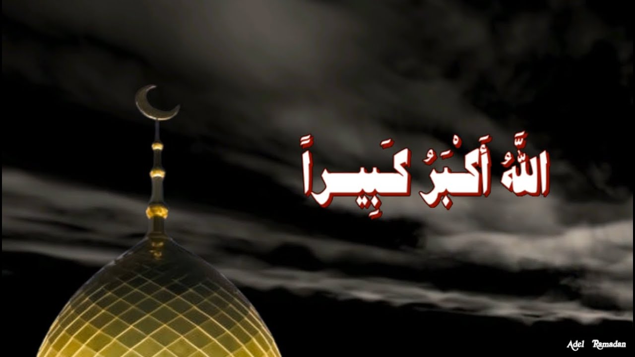 بينما نحن نصلي مع رسول الله   صلى الله عليه وسلم إذ قال رجل من القوم  الله أَكْبَرُ كَبِيراً
