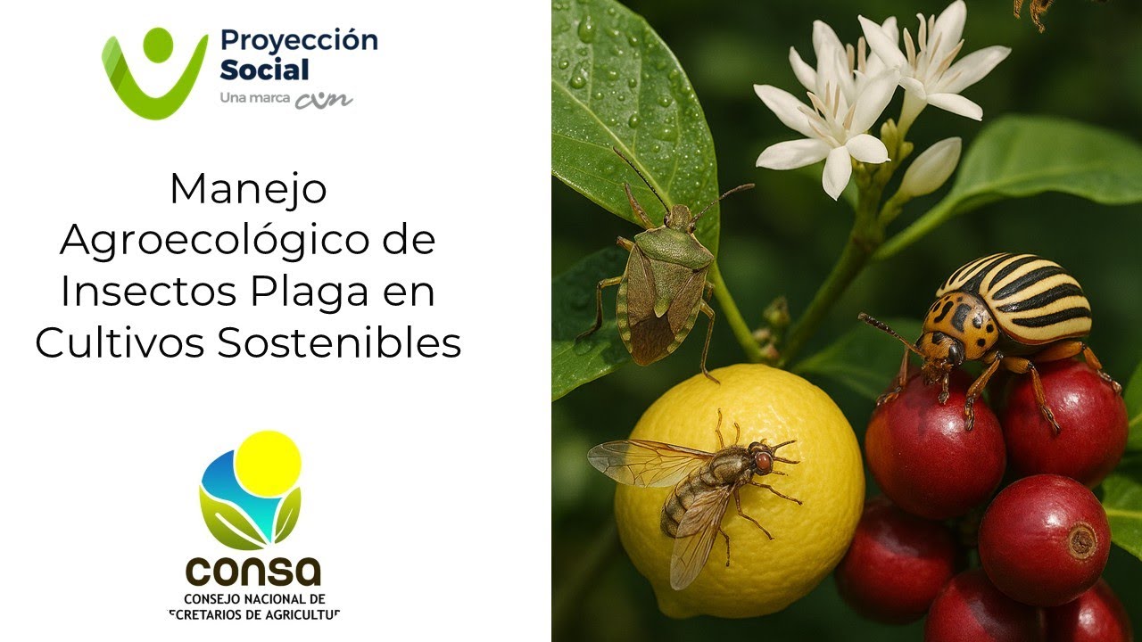 2 Sesión - Biología de Insectos (Manejo Agroecológico de Insectos Plaga en Cultivos Sostenibles)