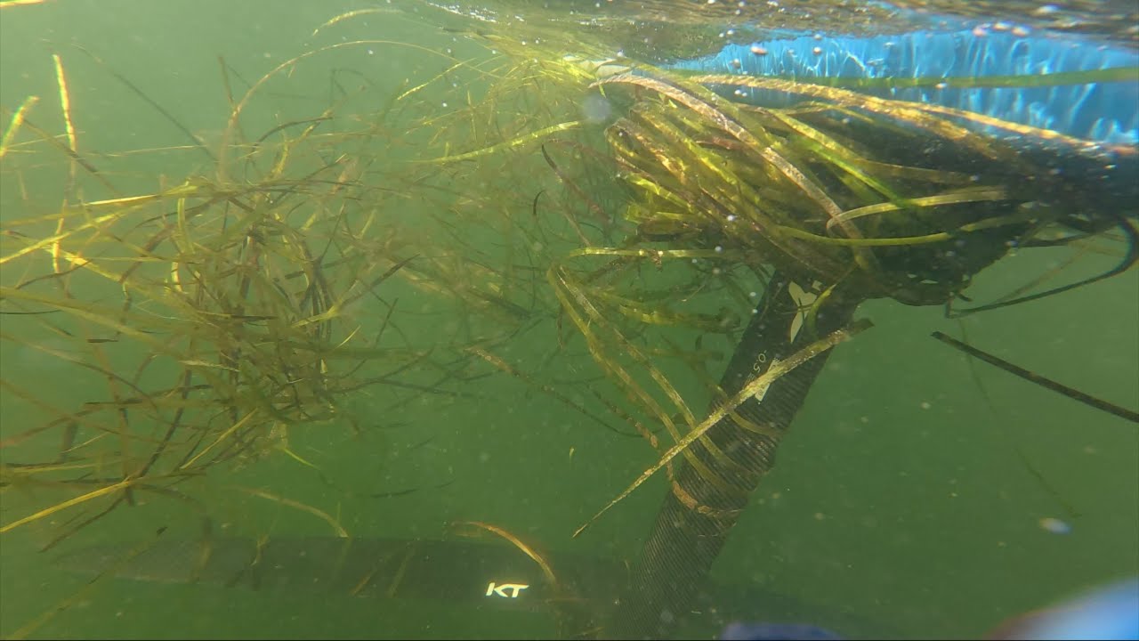 Parawing: Man vs. Seaweed, also first time trying the 4.7m Frigate