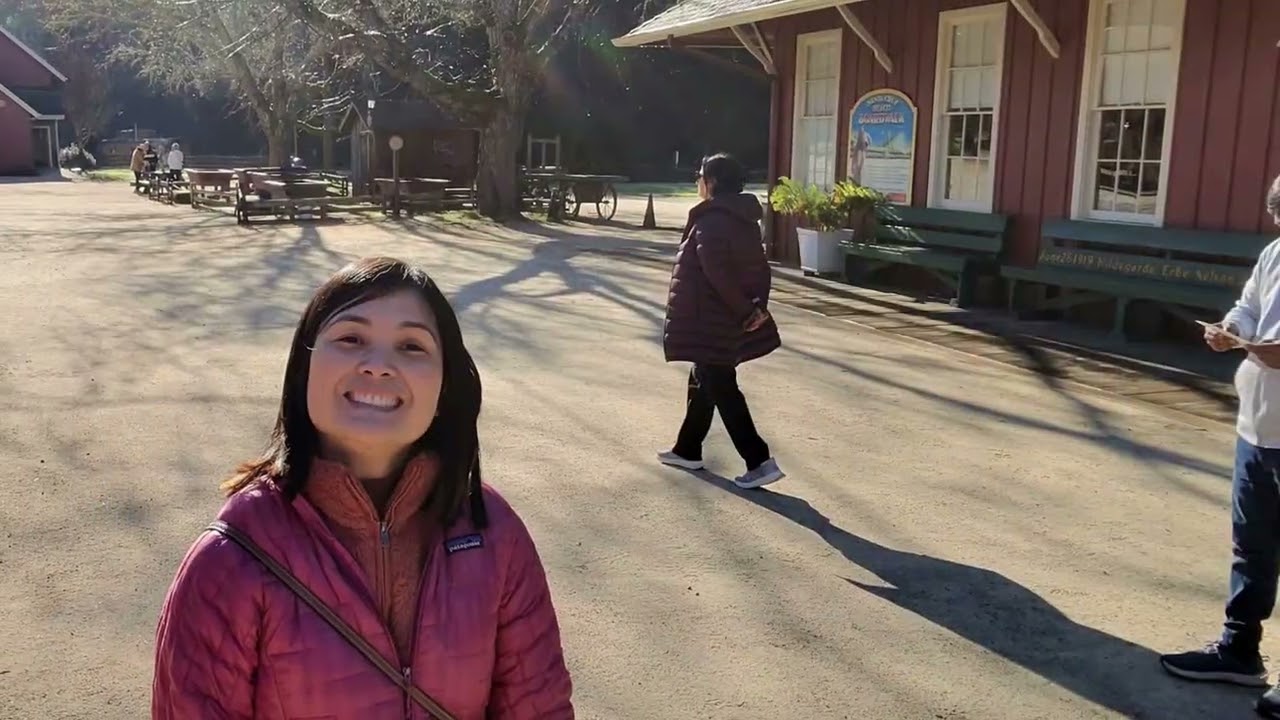 Santa Cruz Redwood Train