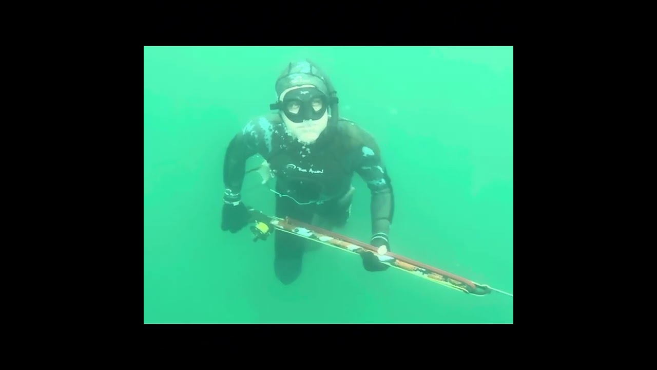 Pesca Sub Prumirim Ubatuba