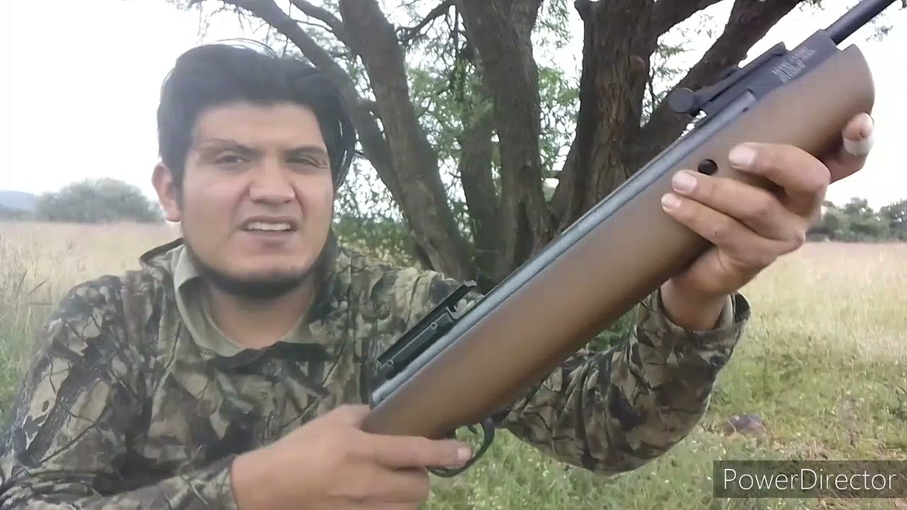 CROSMAN VANTAGE calibre .22 pruebas de tiro y potencia