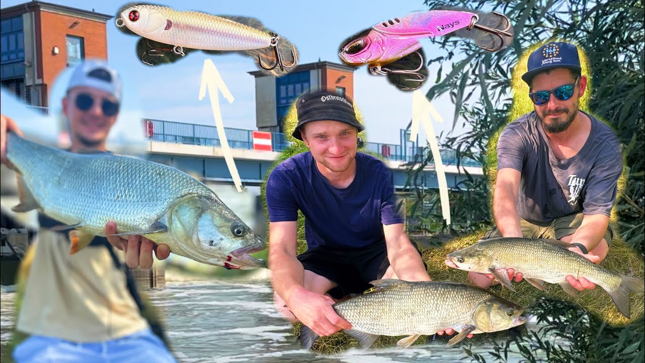Rapfen im Fressrausch!😍 Mit diesen K&ouml;dern musst du es unbedingt probieren!🔥