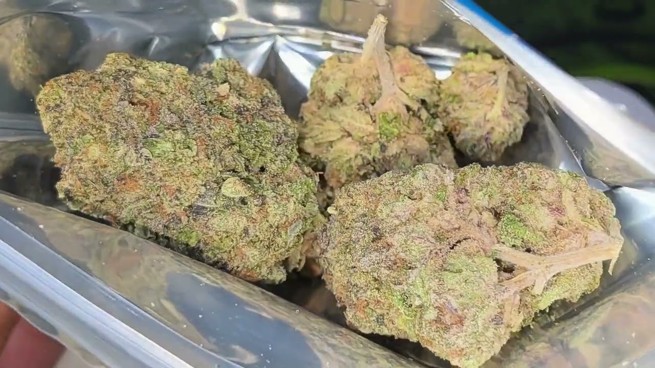 THCA SMALL BUDS | CRAZY GLUE | Thca Review⛽️🔥
