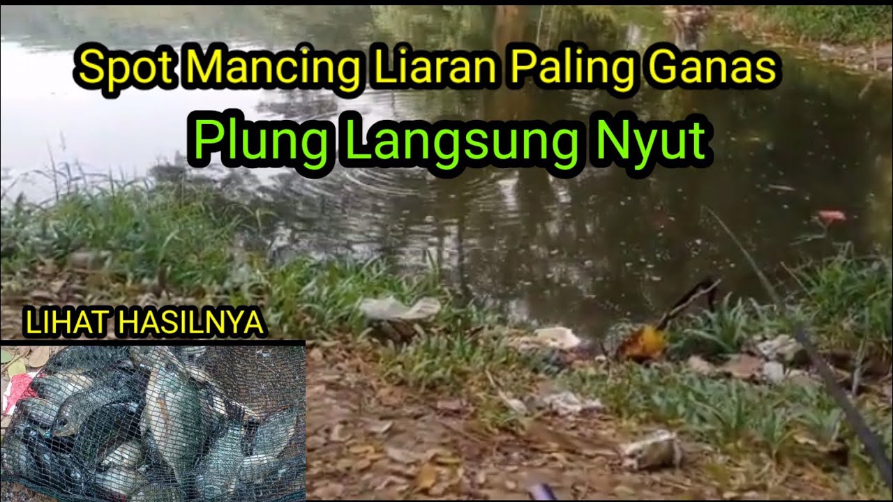 KETETER ..! Mancing Di Danau Duta Harapan Bekasi || Plung Langsung Nyut