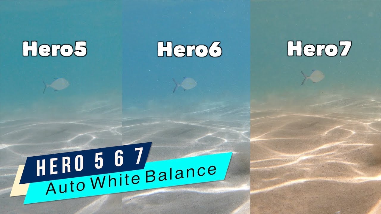 GoPro Hero5 Hero6 Hero7 Underwater Auto White Balance Comparison - GoPro Tip #644 | MicBergsma