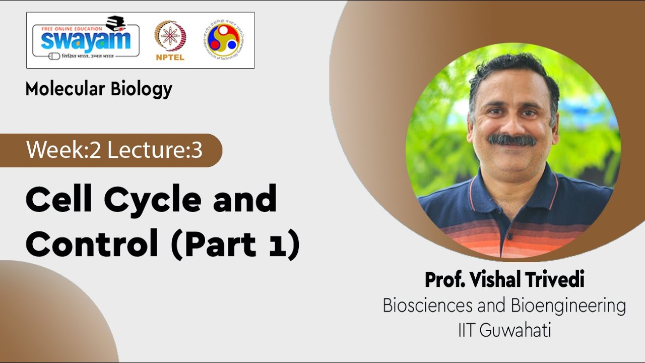 Lec 8: Cell Cycle and Control (Part 1)