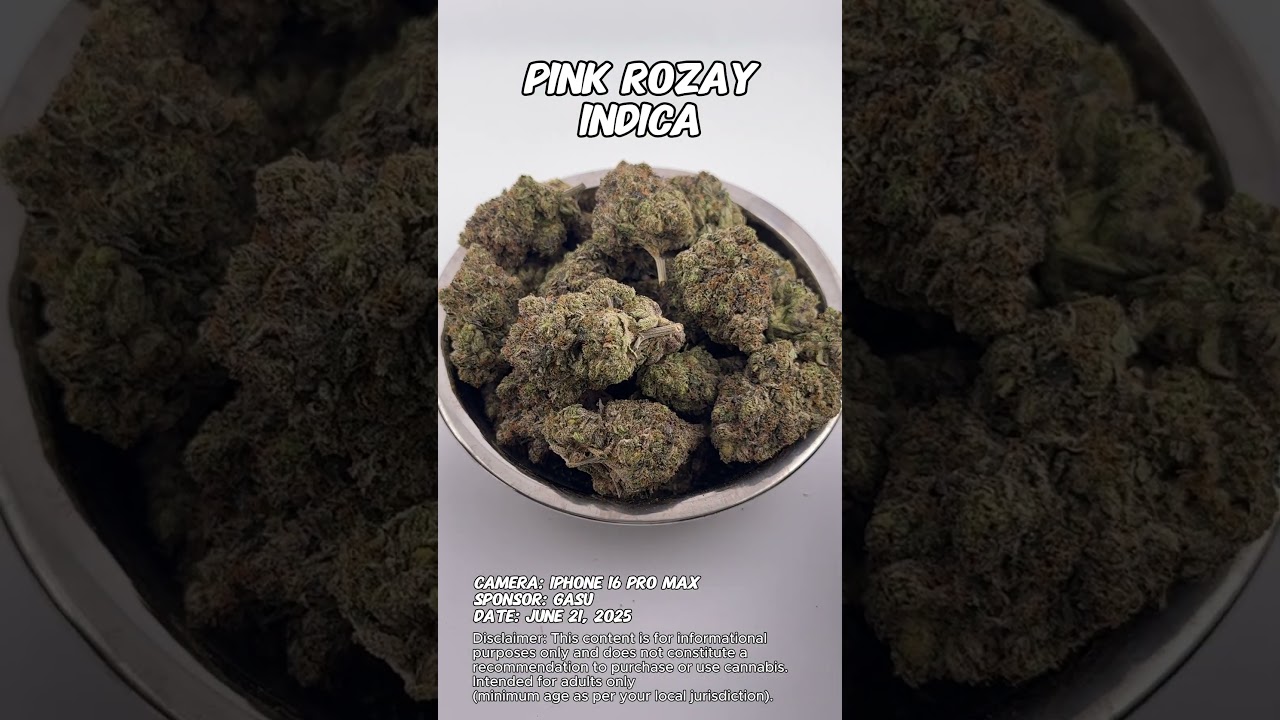 Pink Rozay | Gasu Sponsored | Strain Spotlight