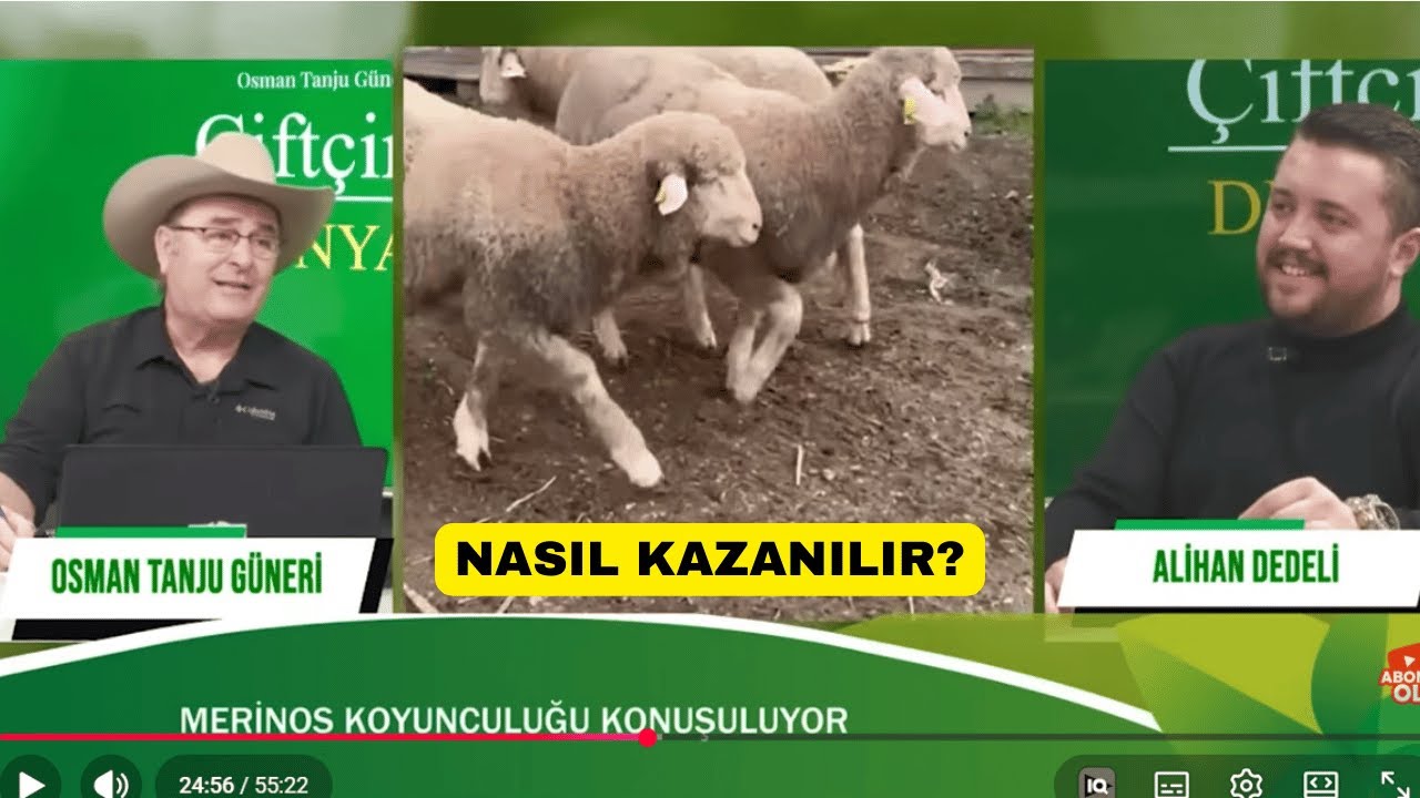 Koyun Çiftliğinden Nasıl Kazanılır? Alihan Dedeli Anlatıyor!