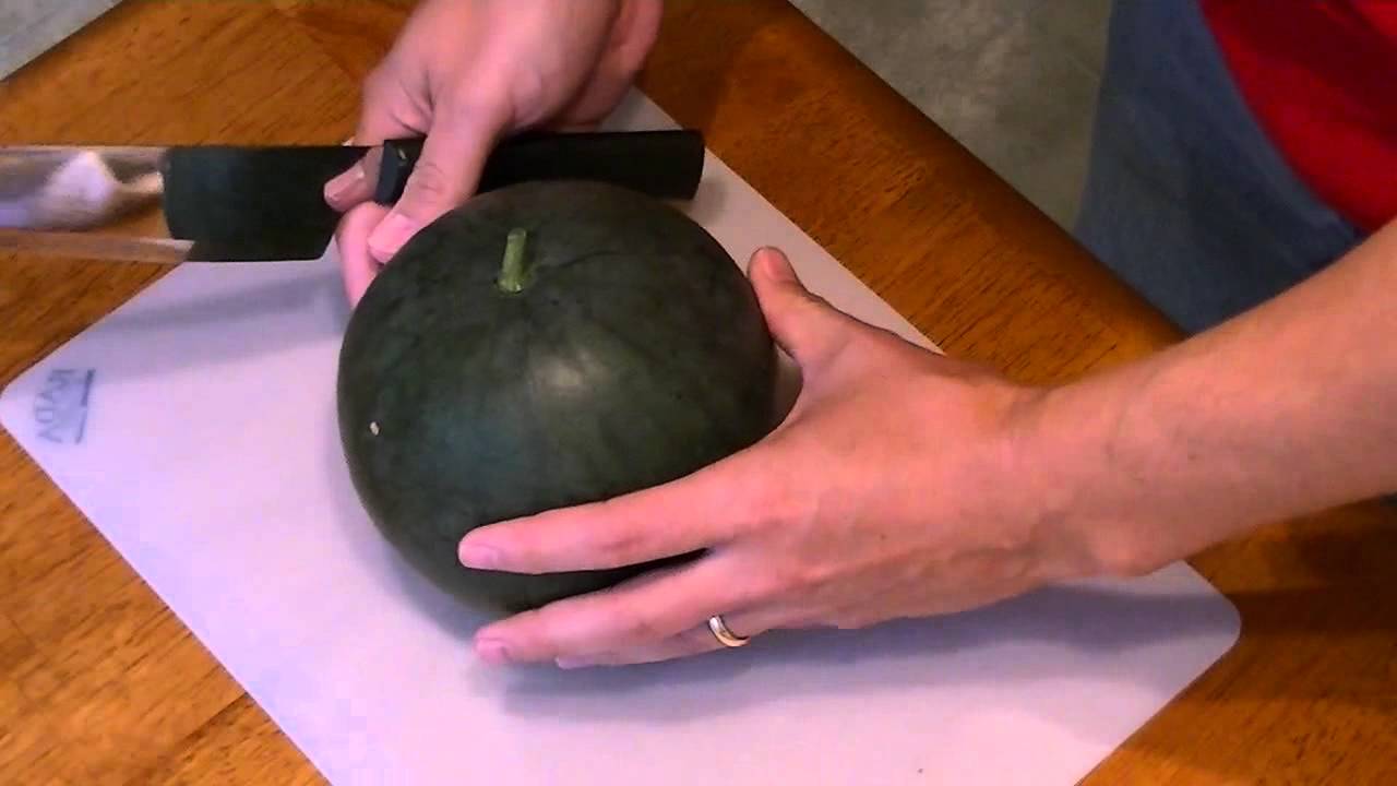 Harvesting Sugar Baby Watermelons