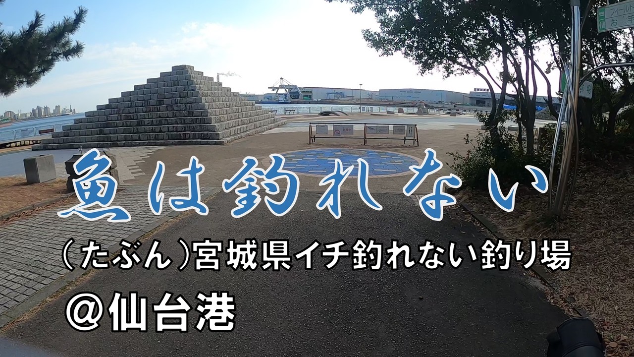 本年度の魚類の営業は終了しました＠仙台港