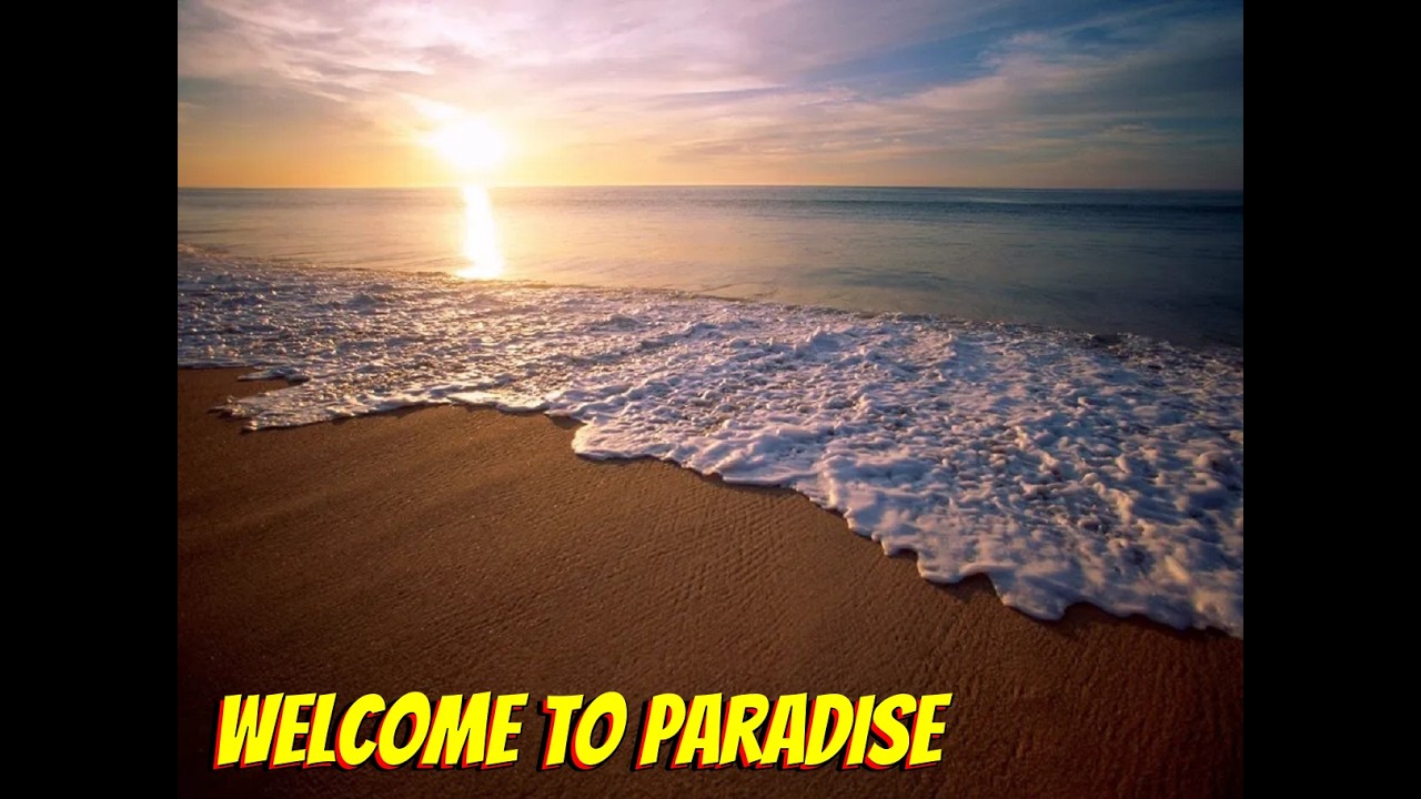 Welcome to Paradise