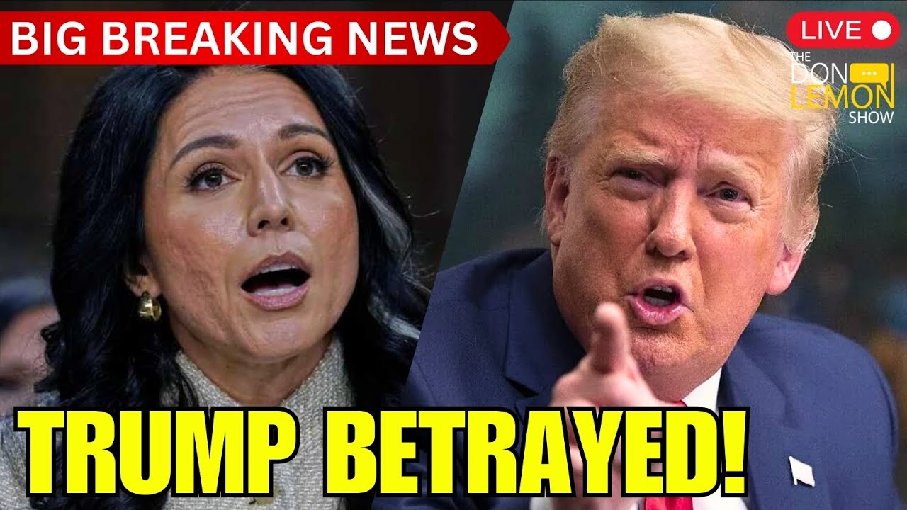 Lemon LIVE at 5 | Tulsi Gabbard BETRAYS Donald Trump!